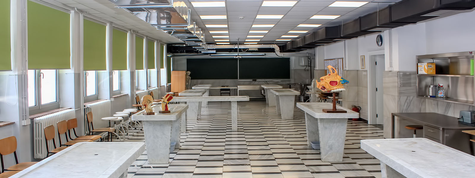 Department of Anatomy